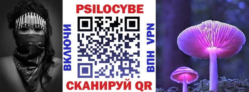 гидра   Новая Усмань  Галлюциногенные грибы прущие грибы  наркота 